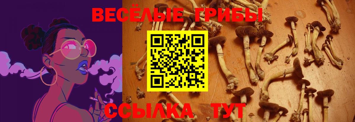 Медногорск  Галлюциногенные грибы Psilocybe  где можно купить   Вход с VPN 